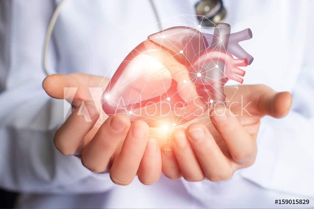 doctor holding heart