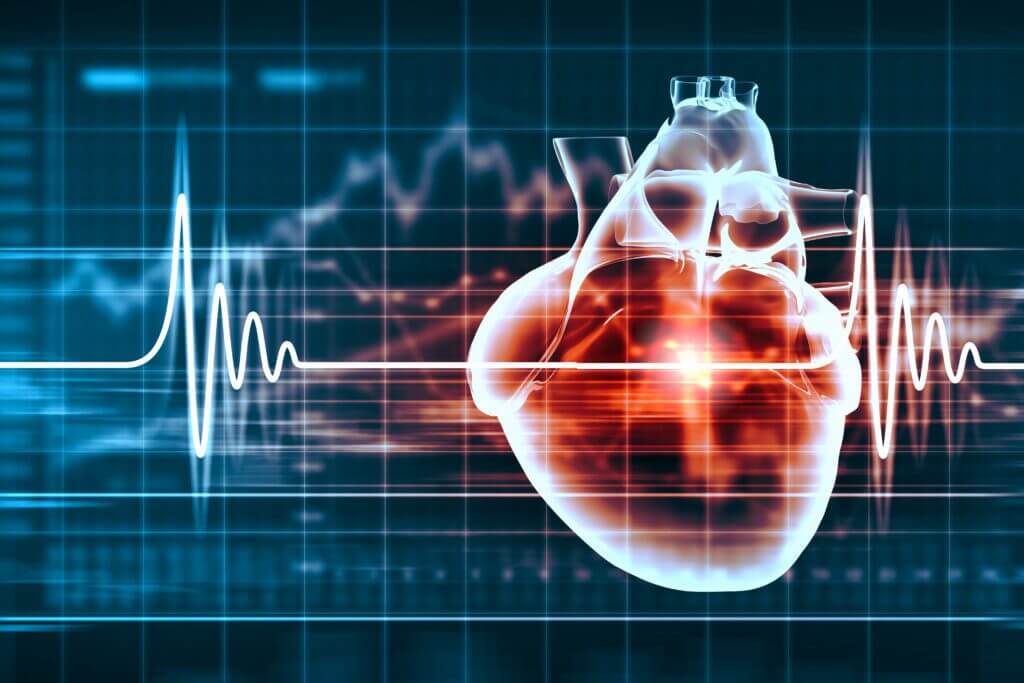 heart design with electrocardiogram